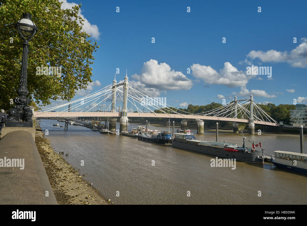 die Albert Bridge, London.     Themse-Brücke.  Victorian-Brücke Stockfoto