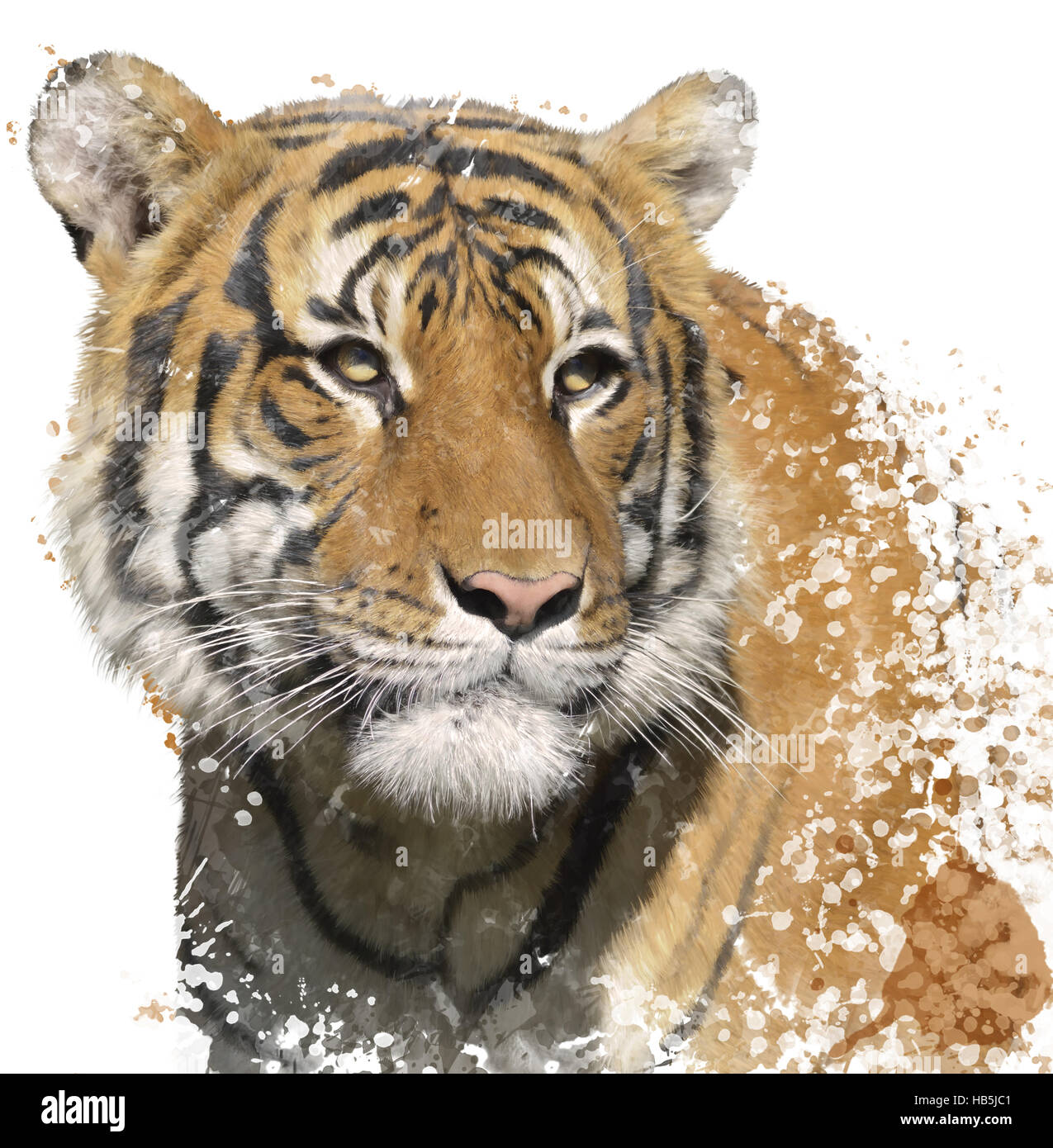 Tiger-Portrait-Aquarell Stockfoto