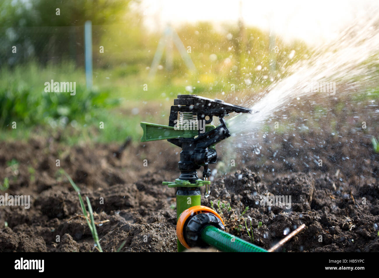 Nahaufnahme der sprinkler Stockfoto