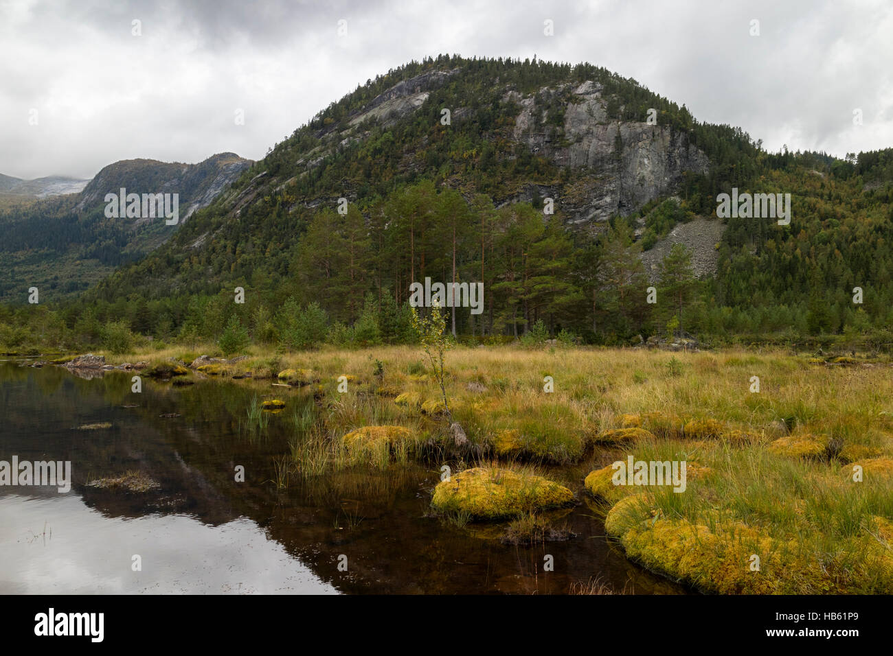 Landschaft der Setesdal, Norwegen Stockfoto