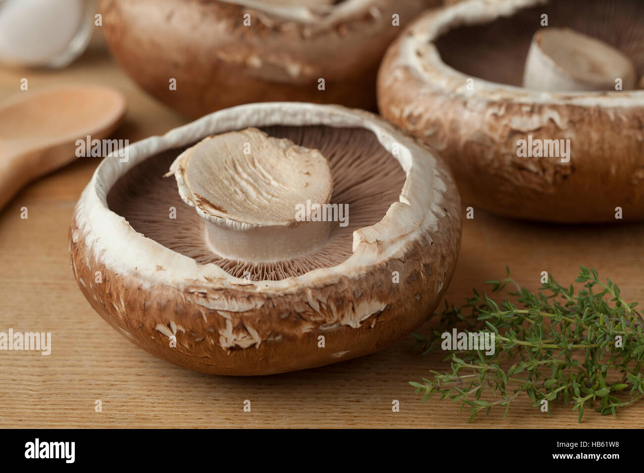 Frische rohe organische Portobello-Pilze Stockfoto