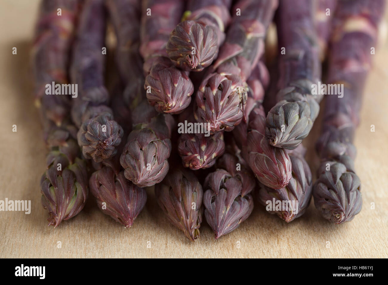 Haufen von frischen violetten Spargel Stockfoto