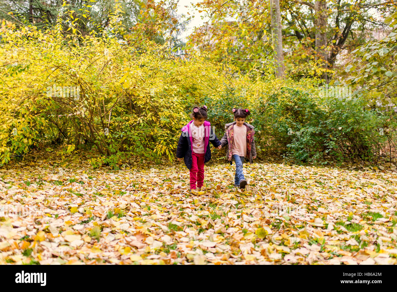 Zwei kleine Mädchen, die Spaß im Herbst park Stockfoto