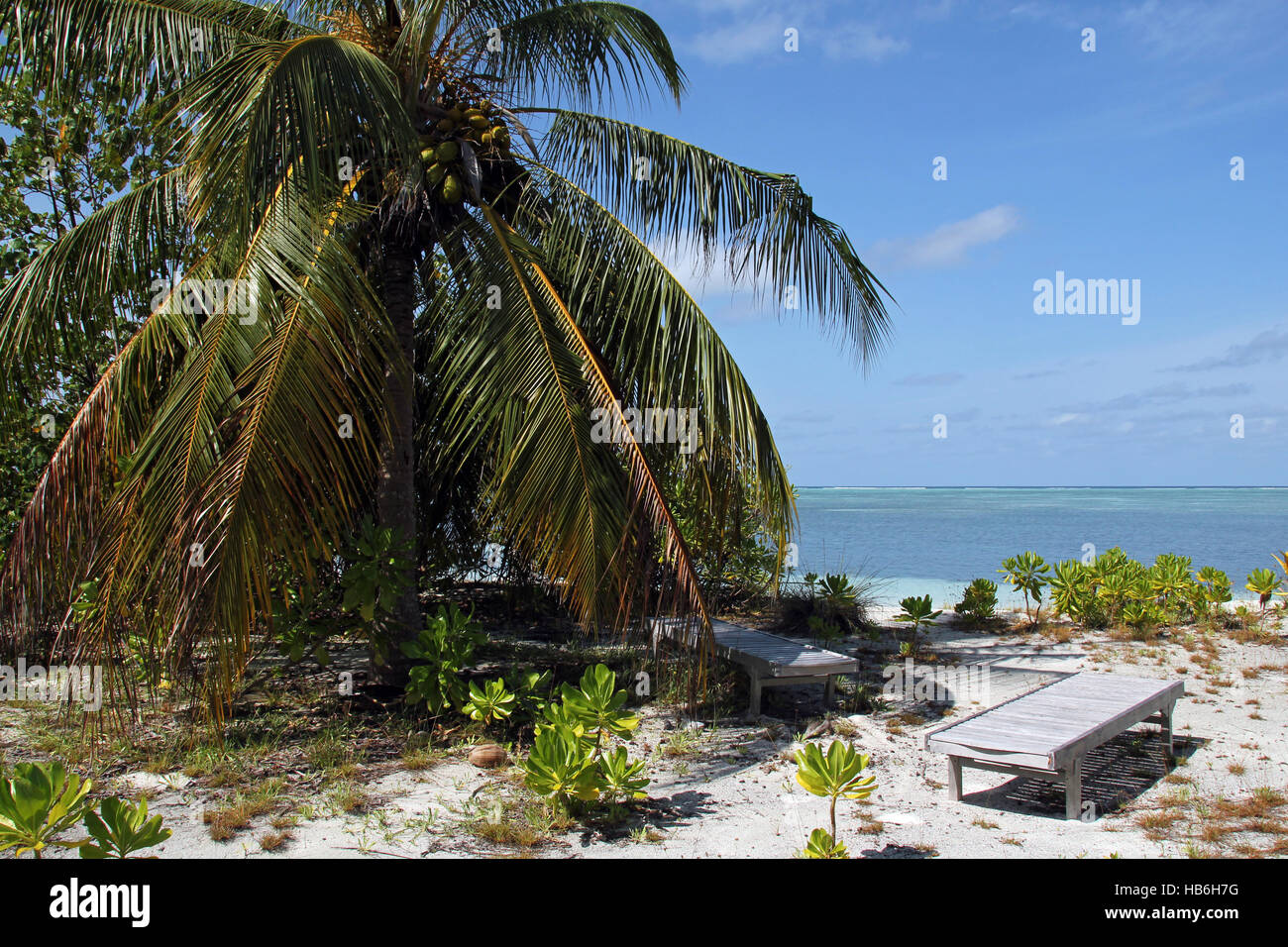 Liegestühle an einem tropischen Strand. Bodufinolhu (Fun-Insel), Süd Male Atoll, Malediven Stockfoto