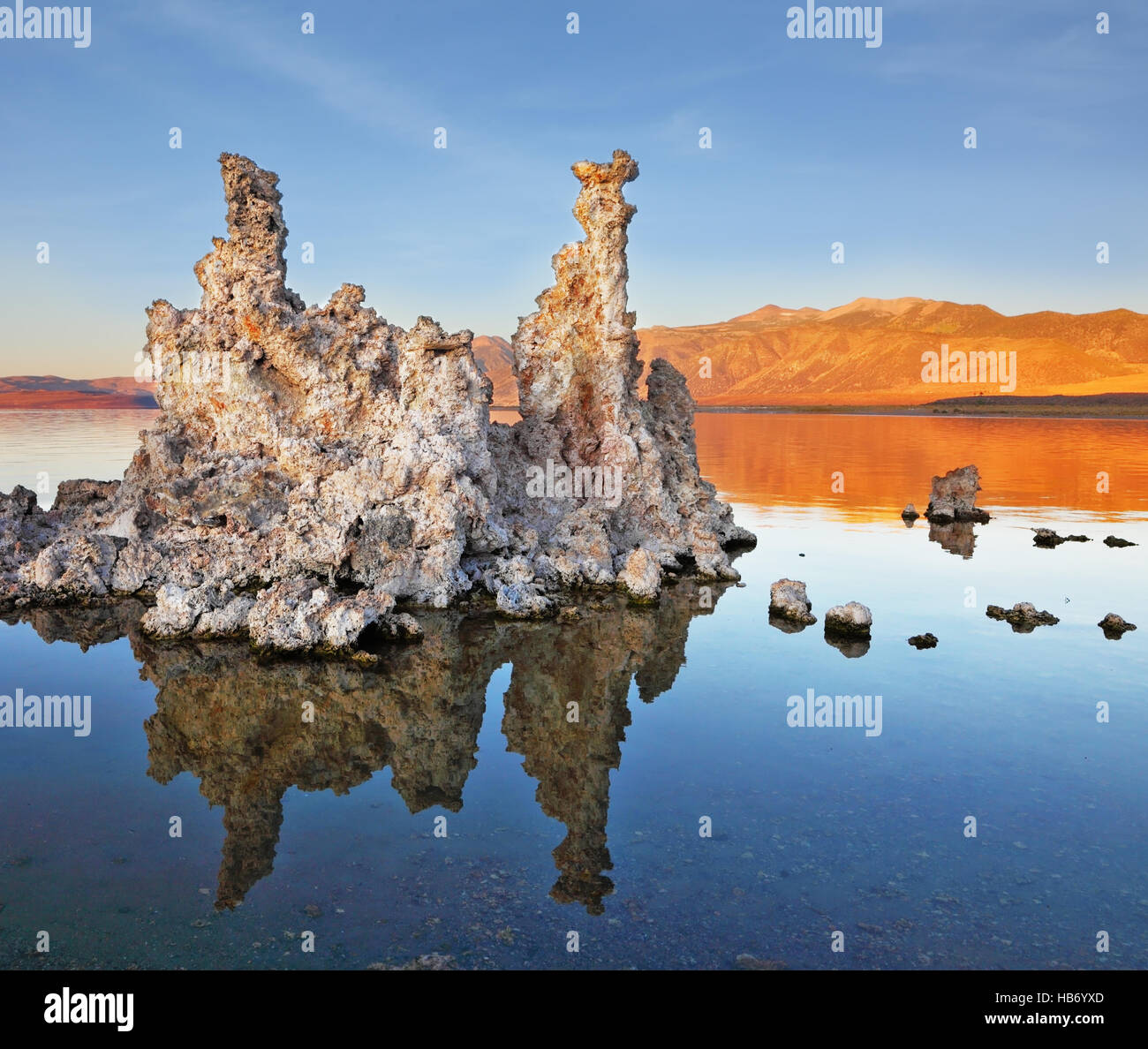 Ausreißer im glatten Wasser gespiegelt Stockfoto