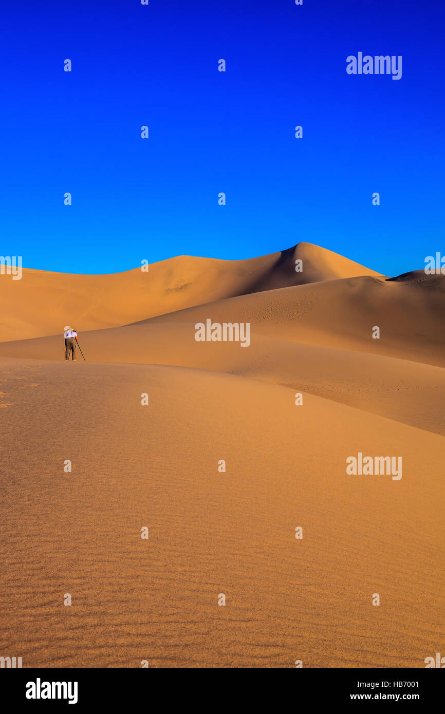 Frau-Fotograf in gestreiften T-shirt und Hut Stockfoto