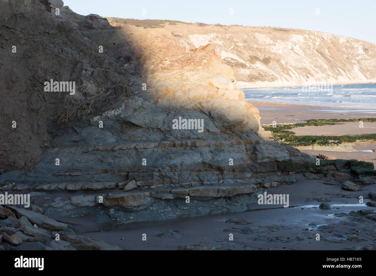 Wealden Felsen, Swanage, Dorset, Großbritannien Stockfoto