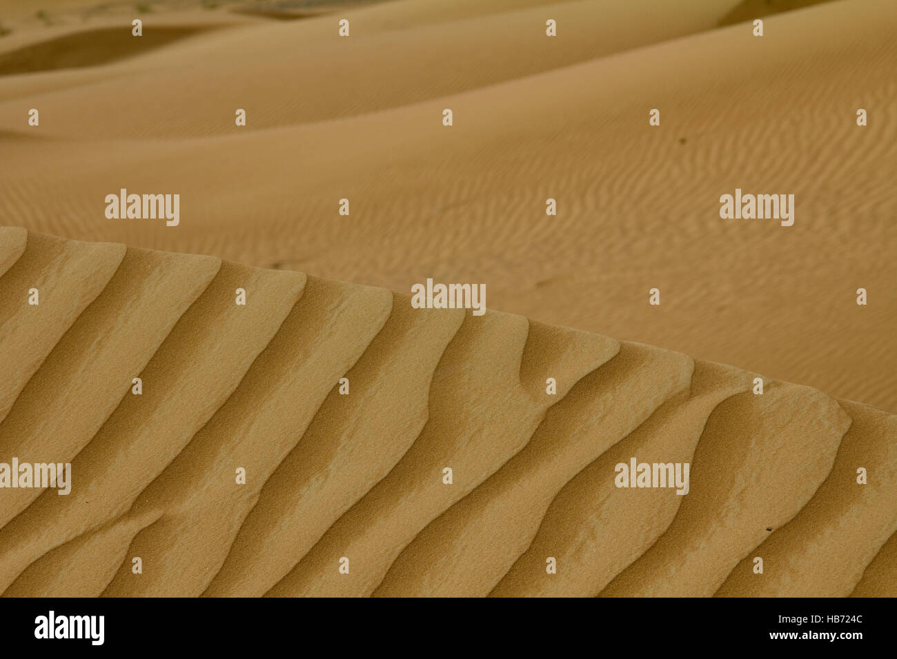 Sand Muster in einer Wüste in Dubai, Vereinigte Arabische Emirate Stockfoto