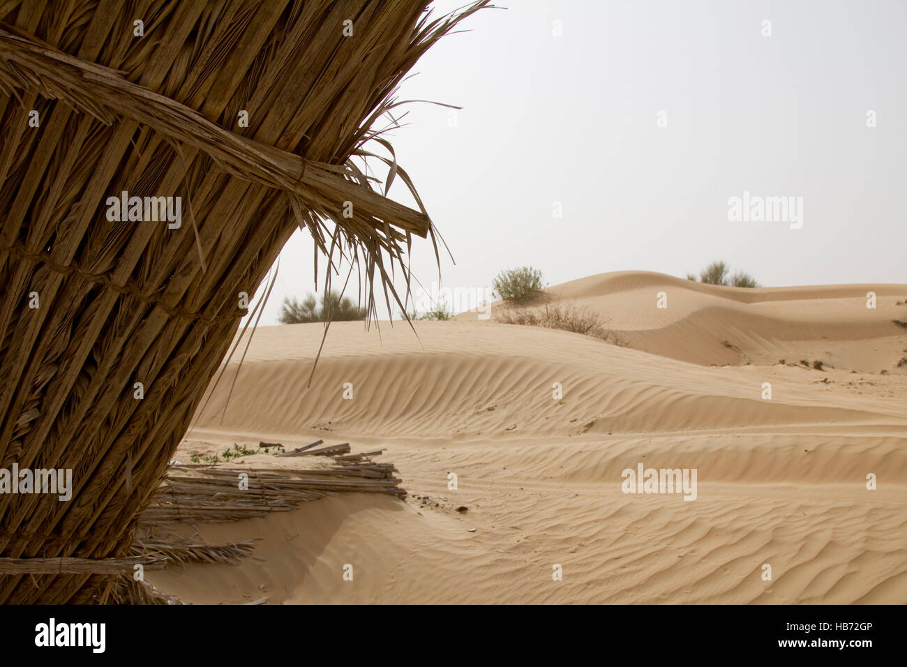 Sand Muster in einer Wüste in Dubai, Vereinigte Arabische Emirate Stockfoto