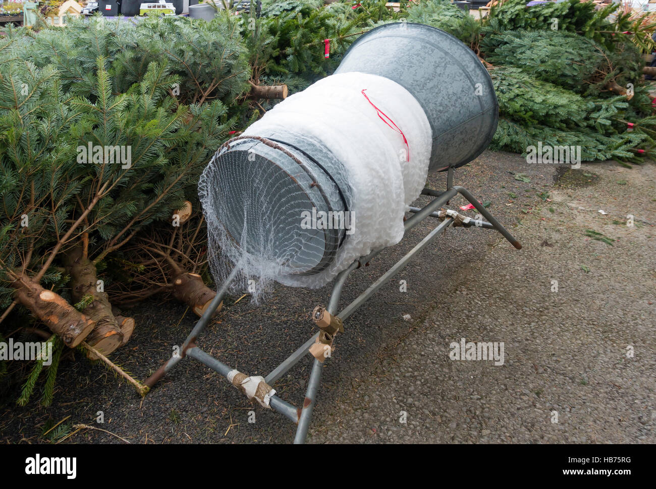 Weihnachtsbaum Verpackung Werkzeug in einem Garten-Center Stockfoto