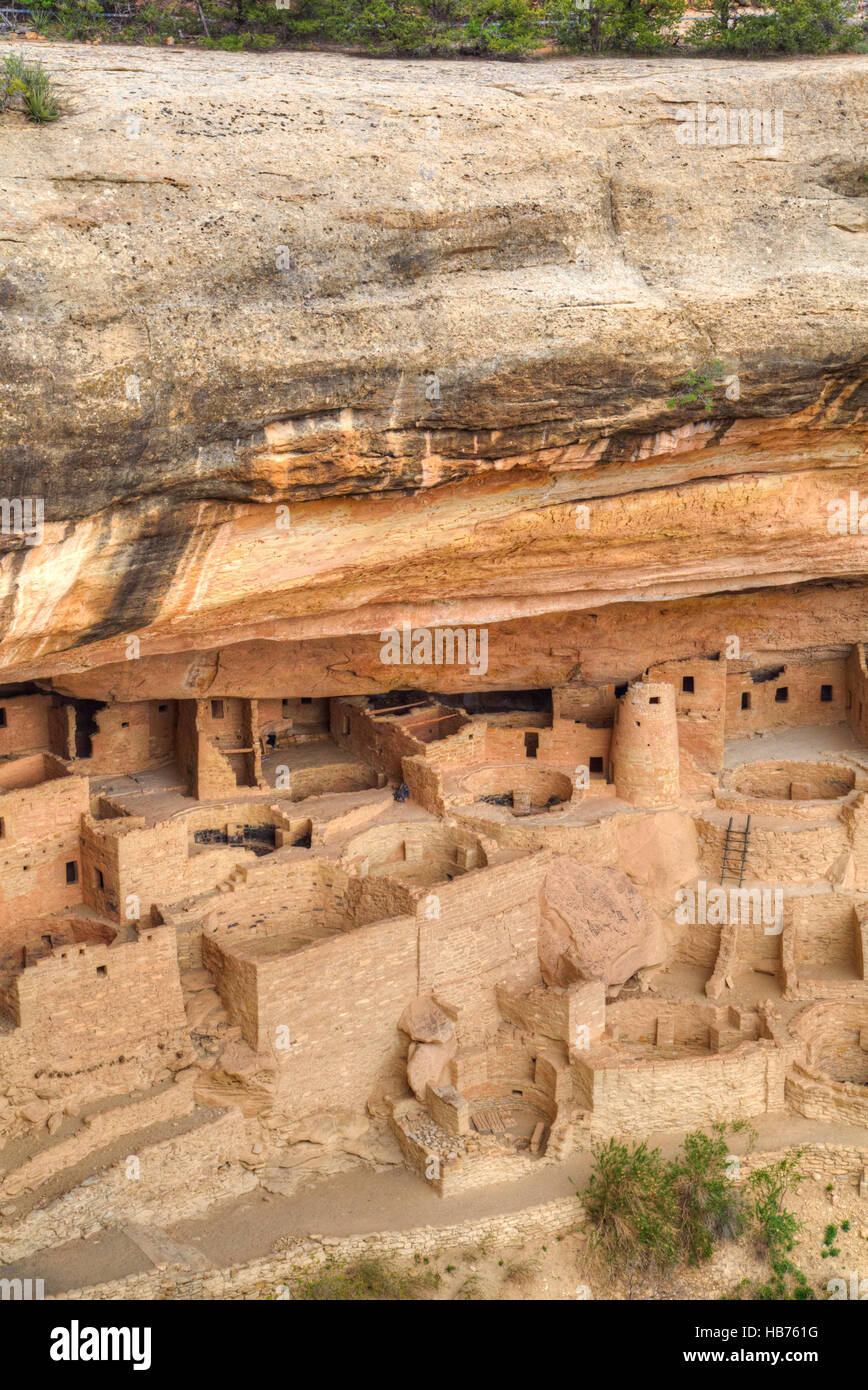 Anasazi-Ruinen, Cliff Palace, Mesa Verde National Park, UNESCO-Weltkulturerbe, 600 n. Chr. - 1.300 n. Chr., Colorado, USA Stockfoto