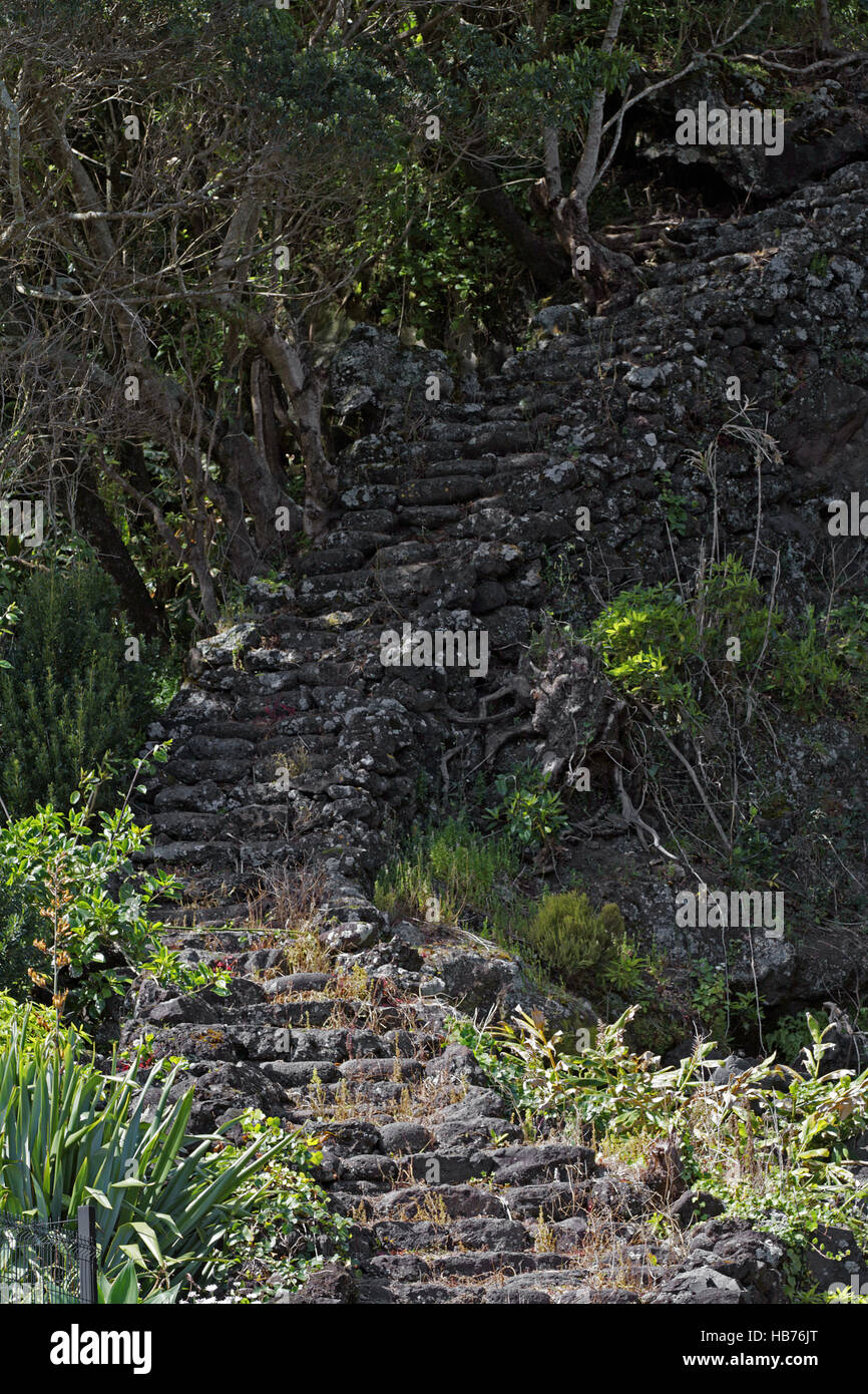 Basalt Steintreppen auf der Insel Pico, Azoren Stockfoto