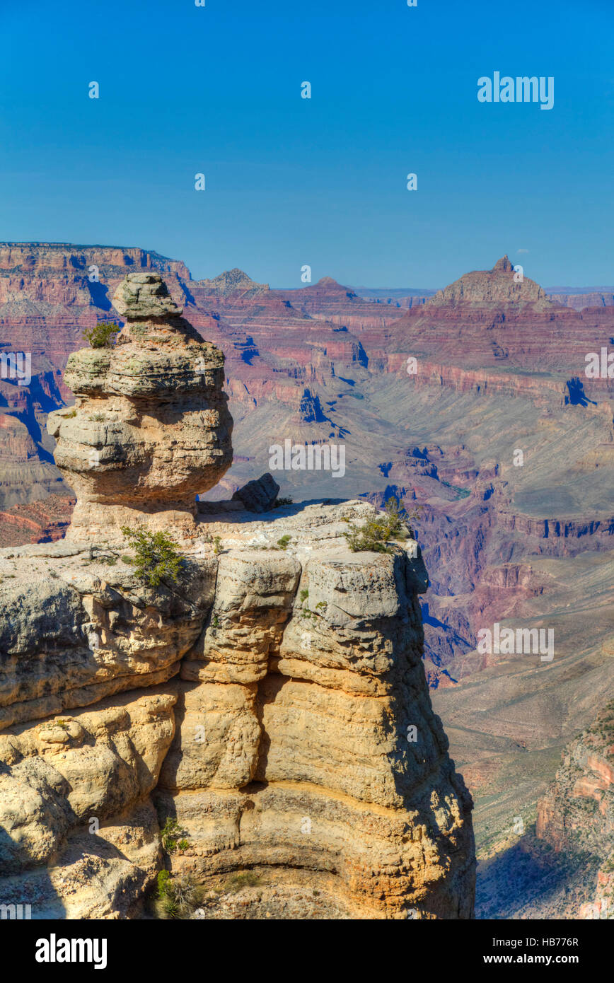Ente, Rock, South Rim, Grand Canyon National Park, UNESCO World Heritage Site, Arizona, USA Stockfoto