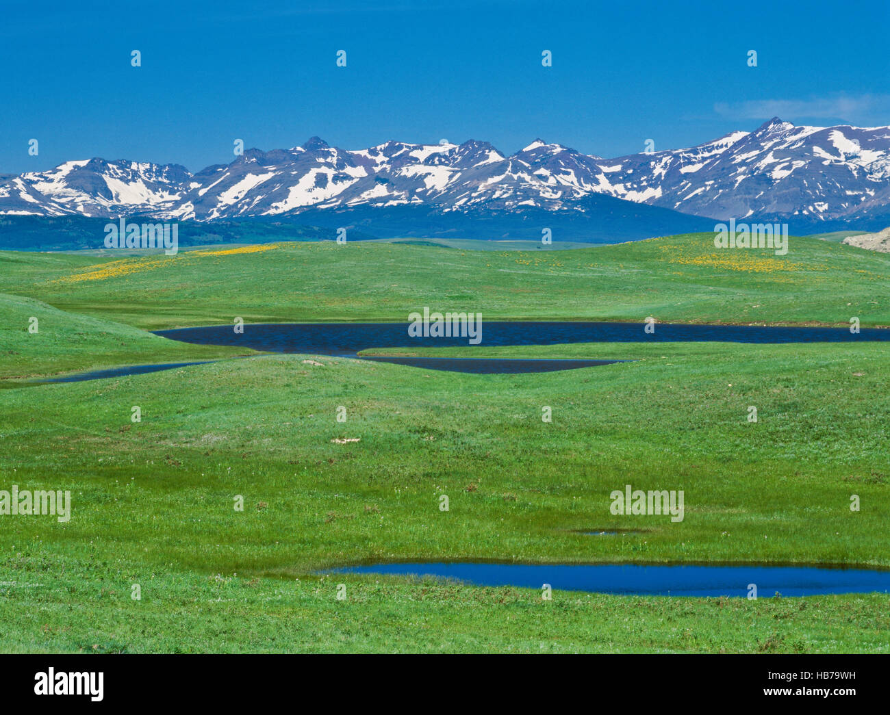 Prairie Pothole Seen auf der Blackfeet Indianer-Reservat unter der rocky Mountain Front in der Nähe von browning, montana Stockfoto