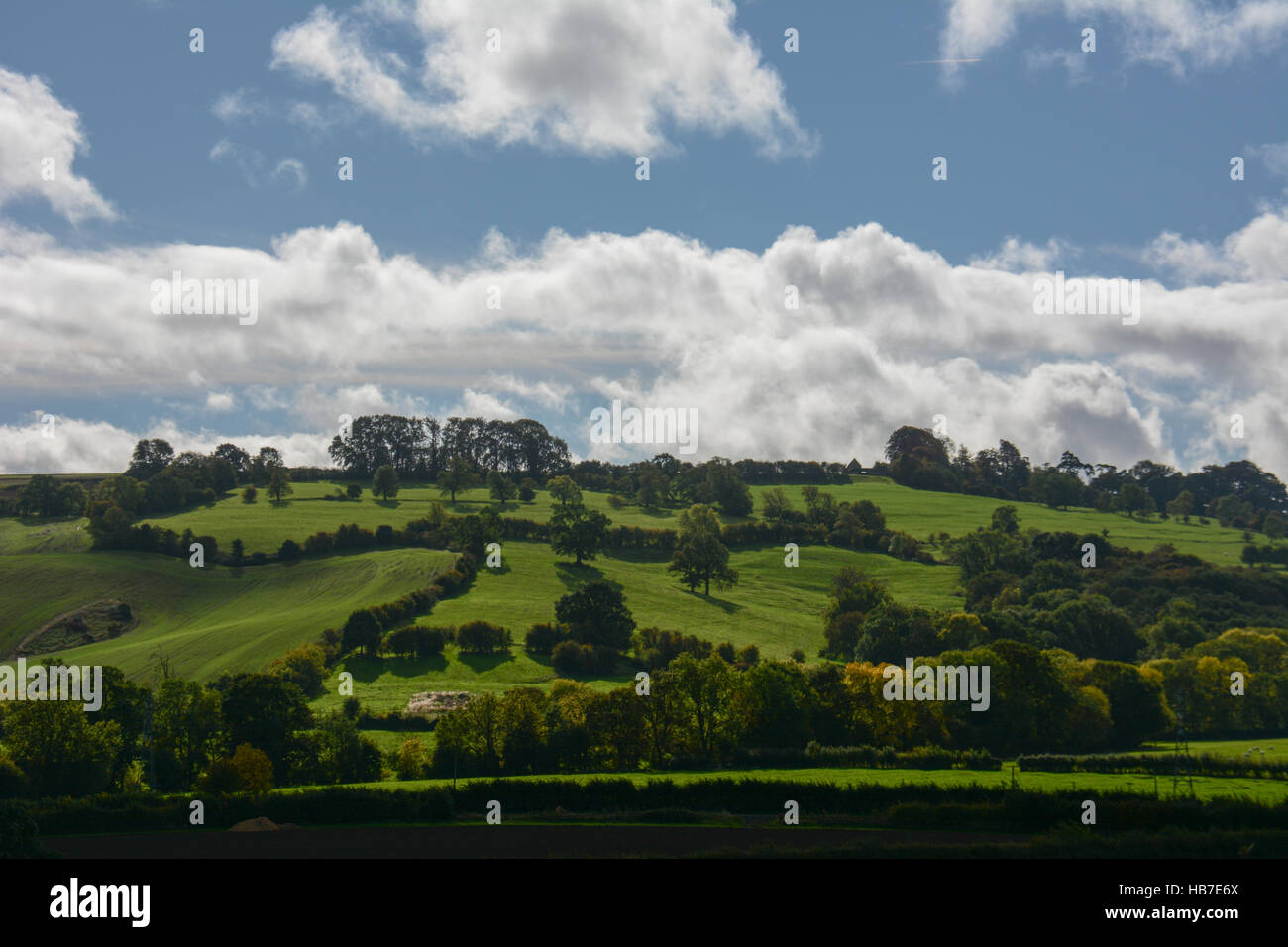Typische englische Landschaft mit sanften Hügeln unter flauschigen weißen Cumulus-Wolken am blauen Himmel, Hecken und kleine Felder Stockfoto