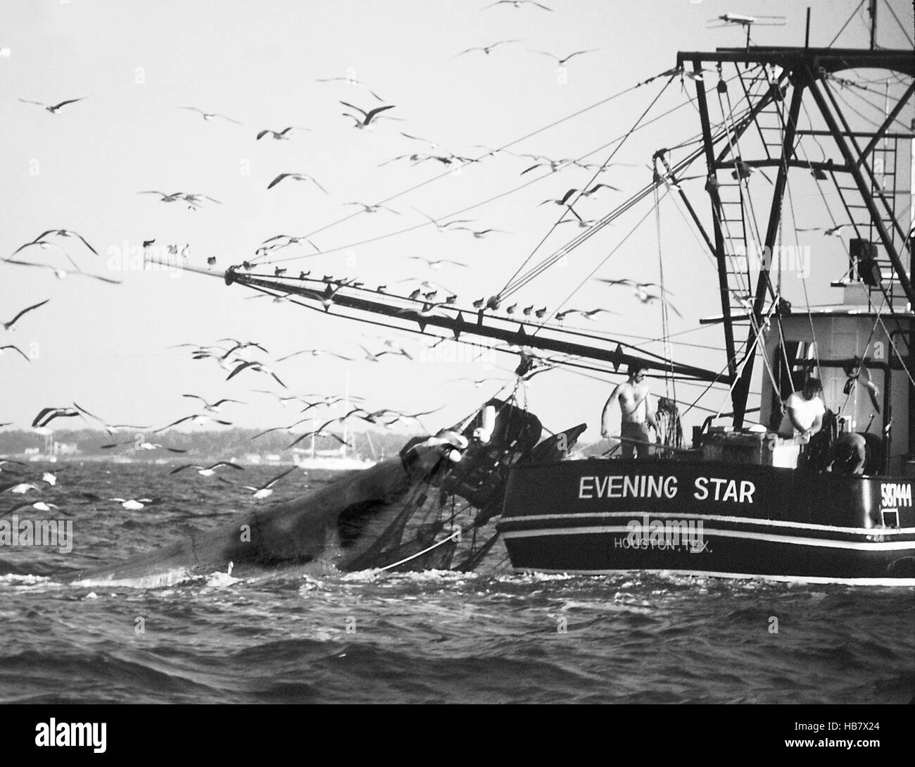 Krabben und Austern Boote für den Fang von wild gefangenen Fisch Stockfoto