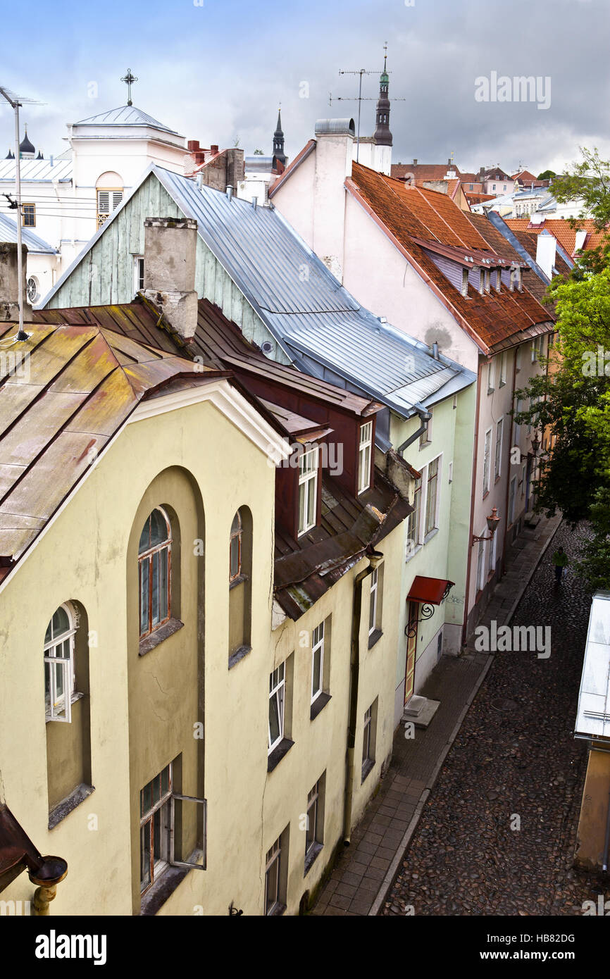 Blick auf die Altstadt der Stadt Dächer. Tallinn. Estland. Stockfoto