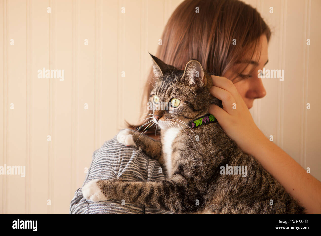 neue Tierhalter mit Katze auf die Humane Society, Santa Barbara, Kalifornien Stockfoto