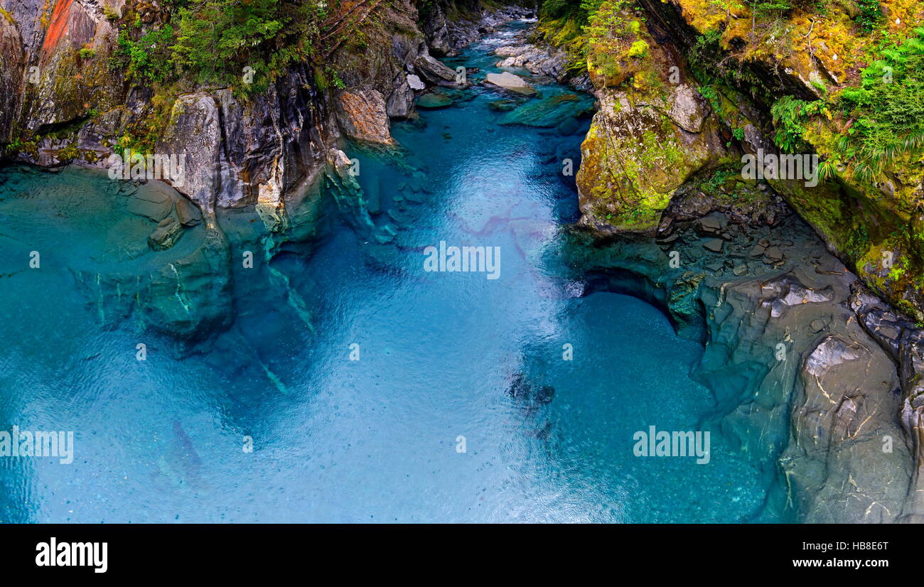 Blauen Pools, Fels-Pools gefüllt von Makarora River, türkisfarbenem kristallklarem Wasser, Wanaka, Otago Region, Südinsel Stockfoto