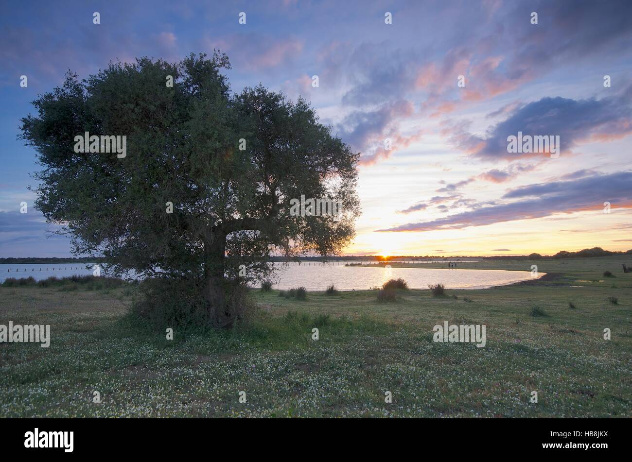 Sonnenuntergang an der Dehesa de Abajo, Donana Nationalpark, Sevilla, Spanien Stockfoto