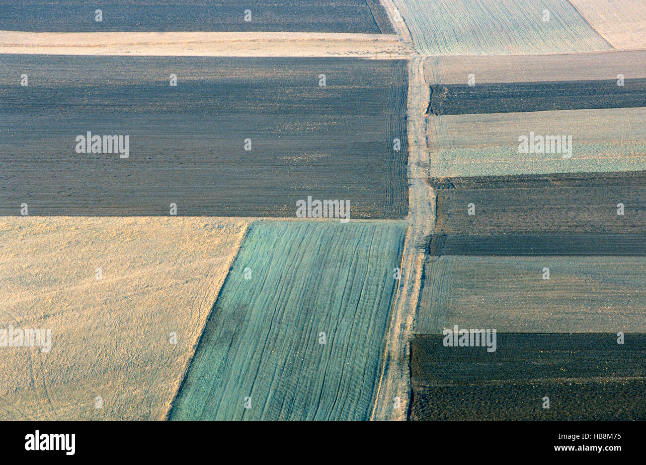 Monokultur, Ackerland, Schwäbische Alb, Deutschland Stockfoto