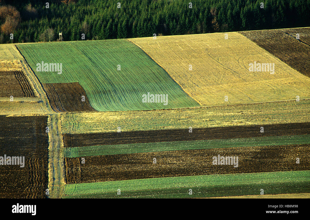 Monokultur, Ackerland, Schwäbische Alb, Deutschland Stockfoto