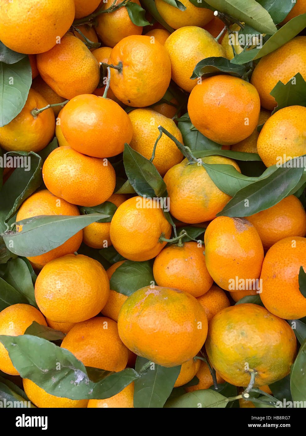 Einige Mandarinen machen einen frischen Obst-Hintergrund Stockfoto