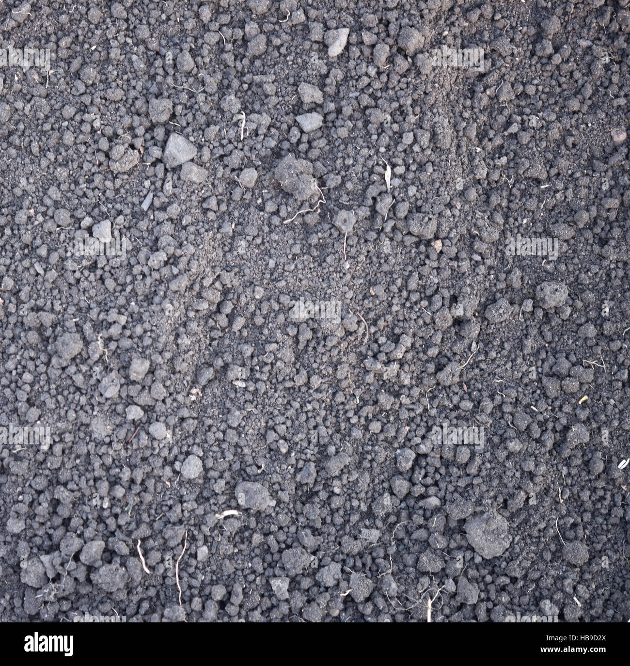 schwarze Erde-Textur Stockfoto