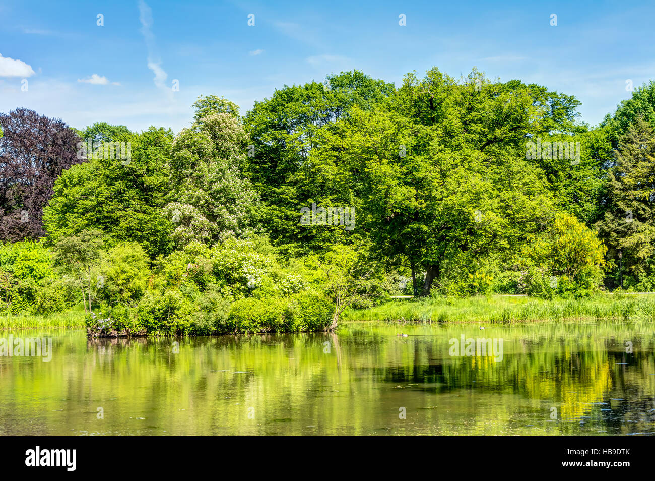 Muskauer Park in der Oberlausitz Stockfoto