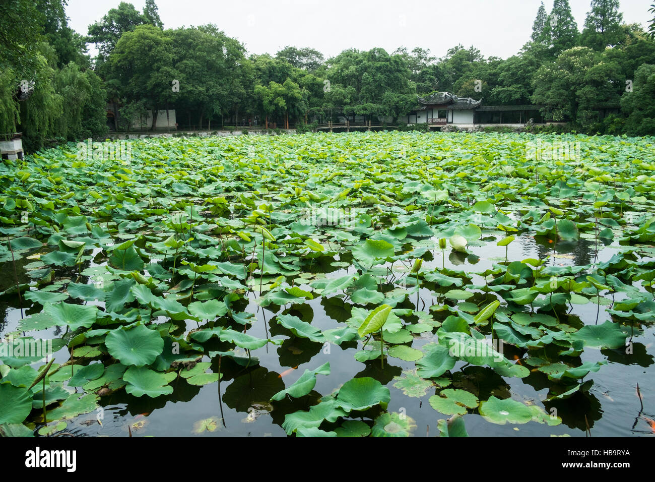 Blick auf Wasser-Pavillon in Xiao Lian Lotus Villa, Nanxun District, Huzhou, Zhejiang Province, China Stockfoto