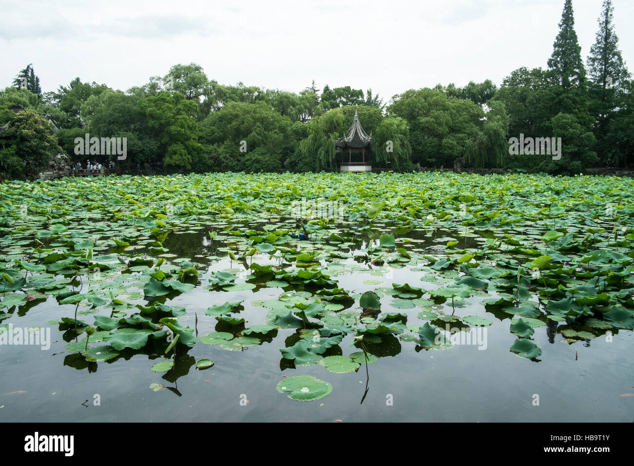 Blick auf Wasser-Pavillon in Xiao Lian Lotus Villa, Nanxun District, Huzhou, Zhejiang Province, China Stockfoto