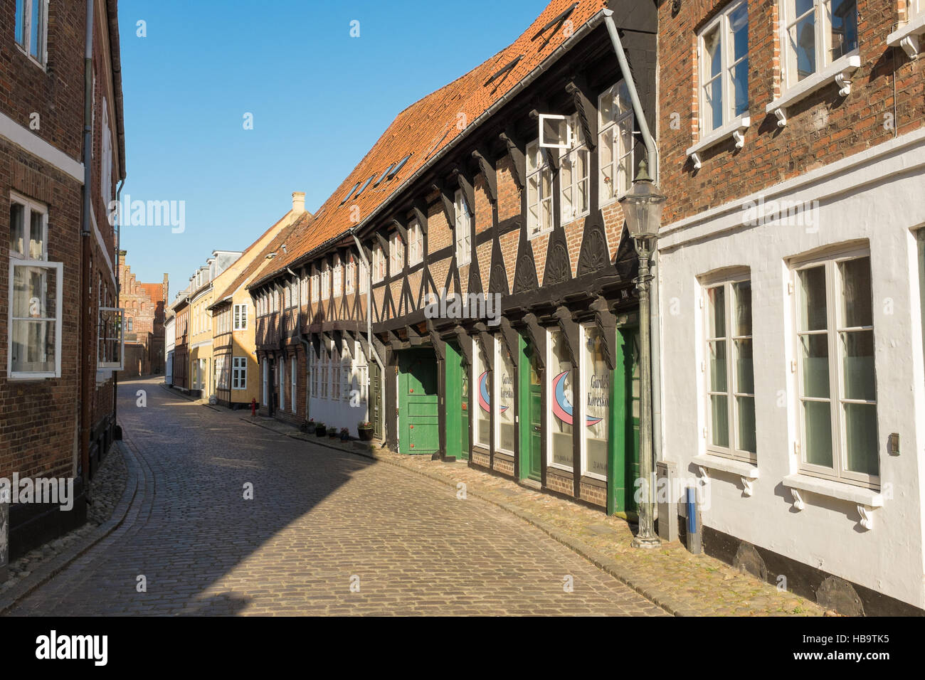 Ribe Stockfoto