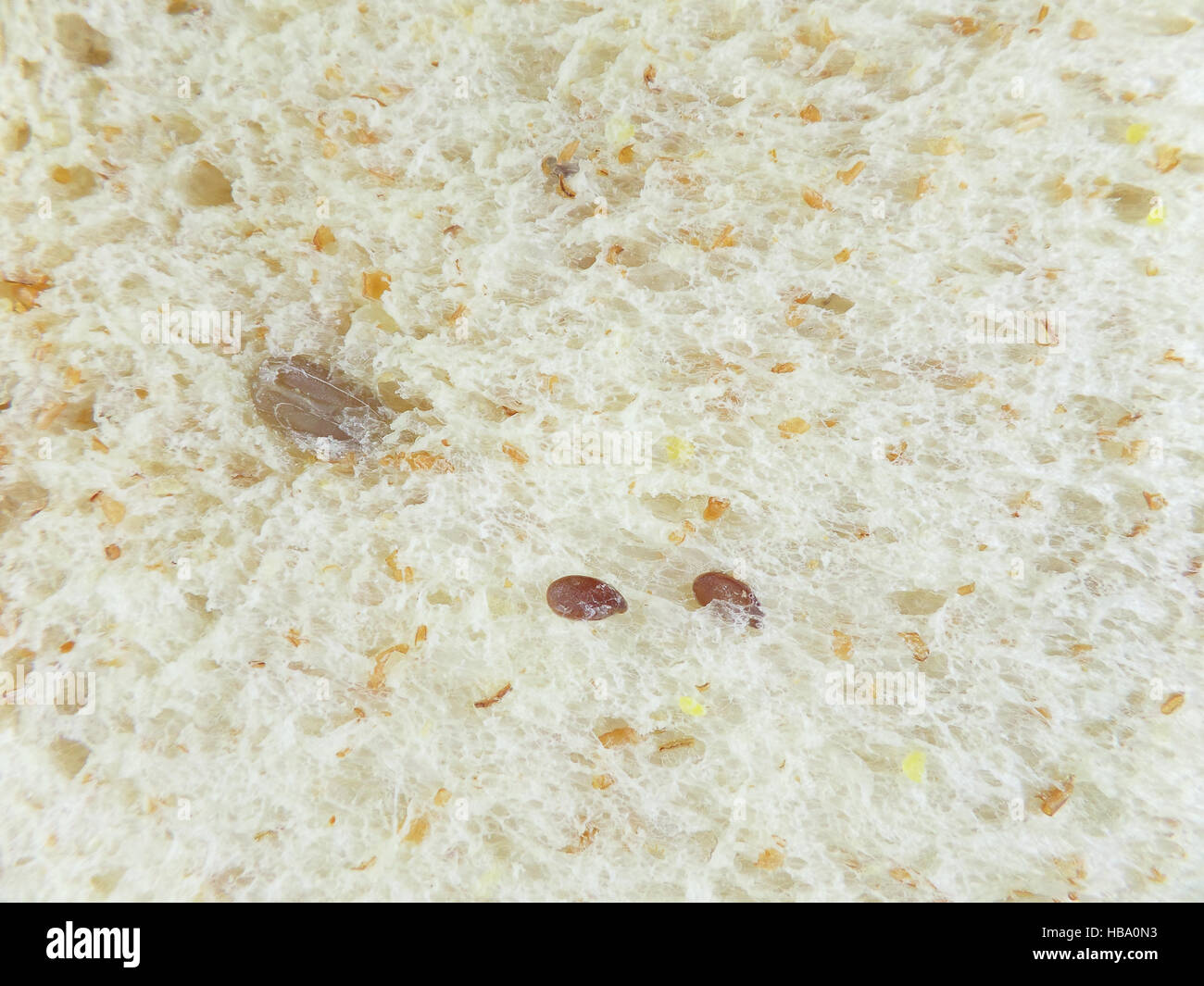 Textur der ganze Körner Brot zugemacht, Hintergrund Stockfoto