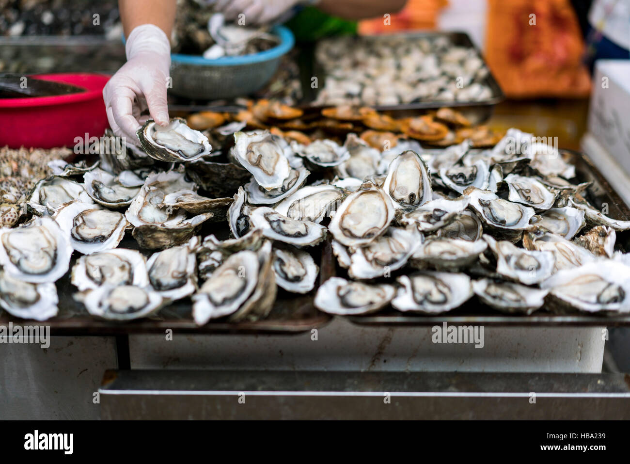 Frische Austern zum Verkauf auf Markt in Hainan in China Stockfoto