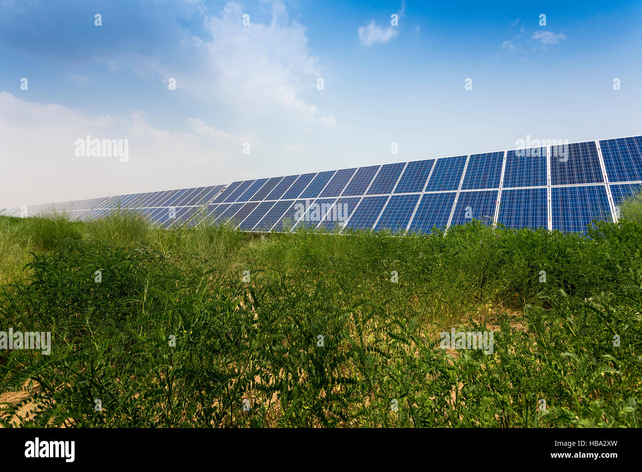Solar-Panels unter blauem Himmel Stockfoto