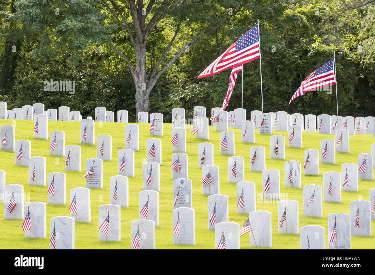 Memorial Day Stockfoto