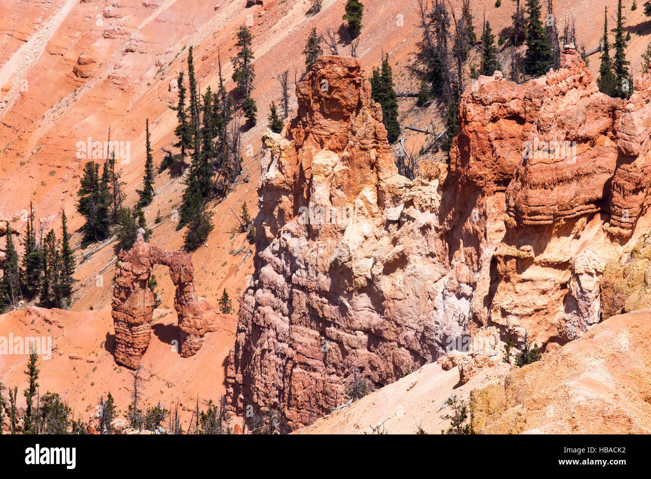 Cedar Breaks 9 Stockfoto