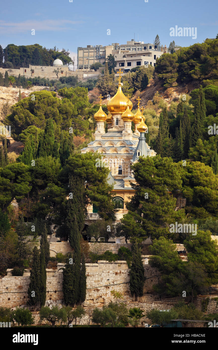 Goldene Kuppeln in den grünen park Stockfoto