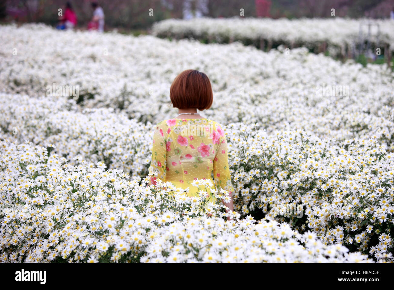 Vietnam-Frau mit Lotusblüte Stockfoto