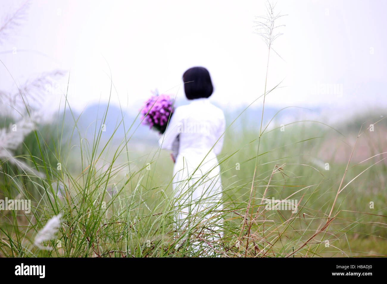 Vietnam-Frau mit Lotusblüte Stockfoto