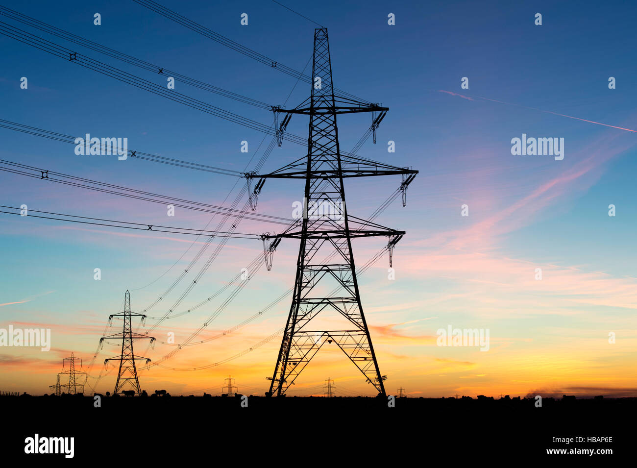 Elektrizität Masten Silhouette vor Sonnenaufgang Himmel. UK Stockfoto