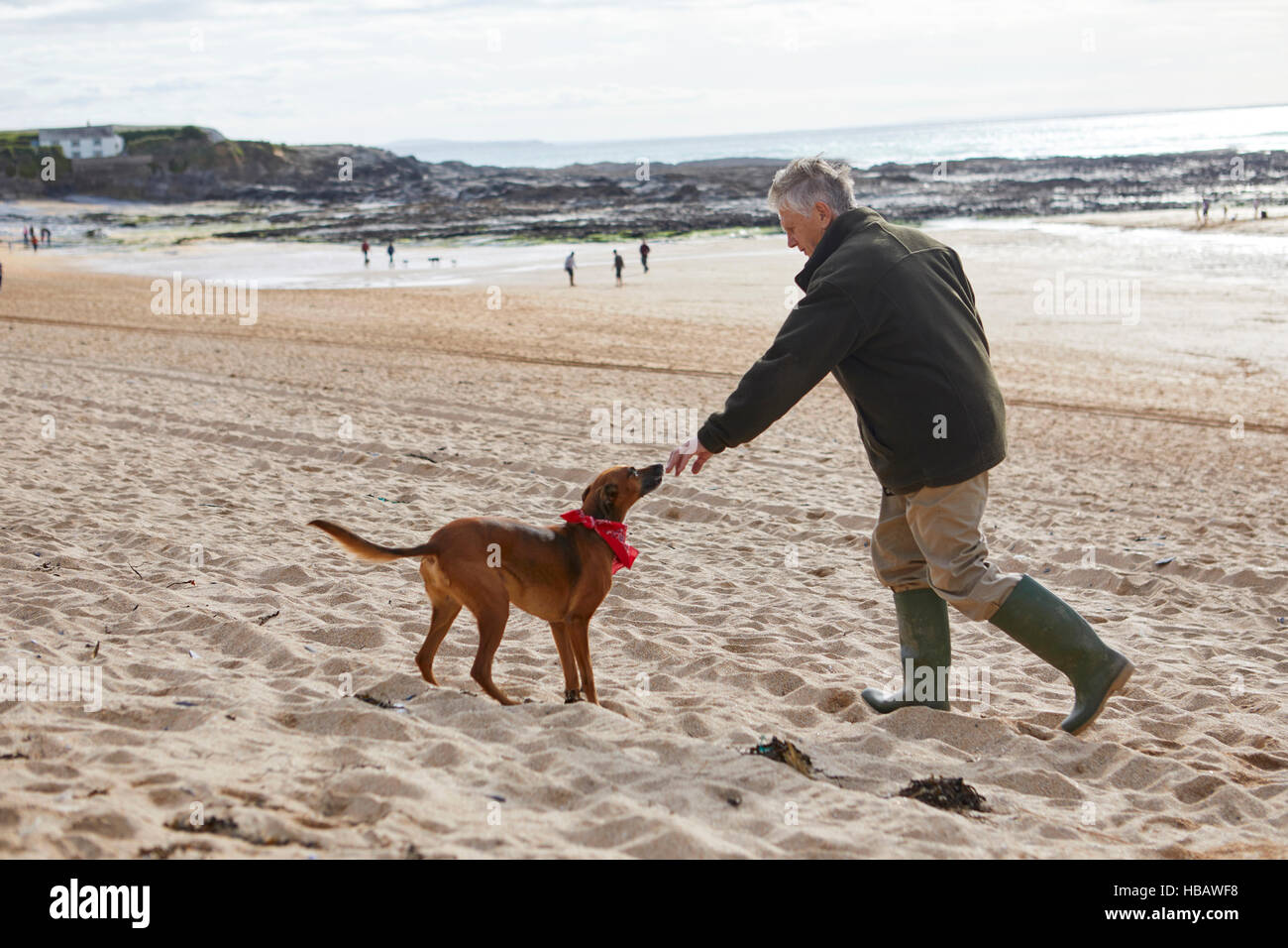 Mensch und Hund am Strand, Konstantin Bay, Cornwall, UK Stockfoto