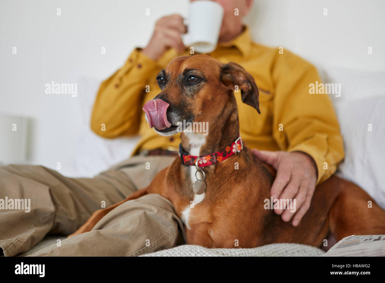 Hund mit Besitzer entspannen Stockfoto