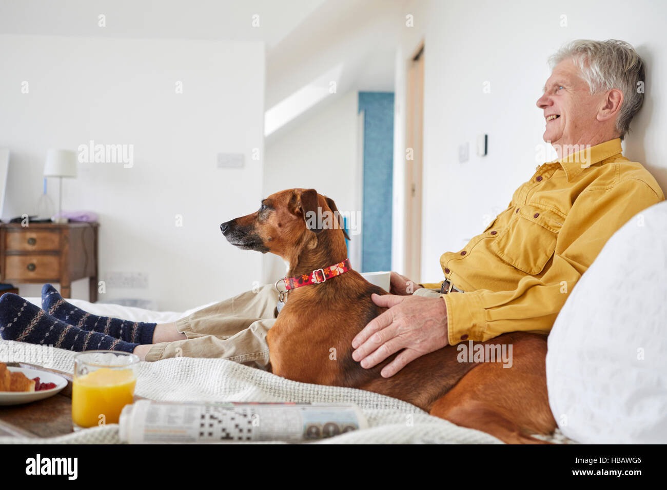 Genießen Sie das Frühstück im Bett mit Besitzer Hund Stockfoto