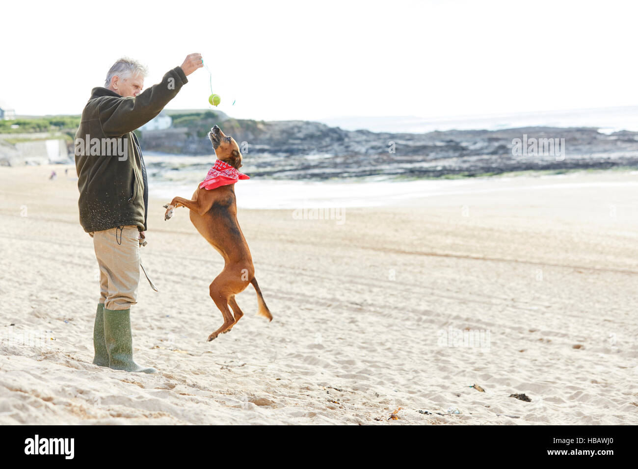 Mensch und Hund am Strand, Konstantin Bay, Cornwall, UK Stockfoto