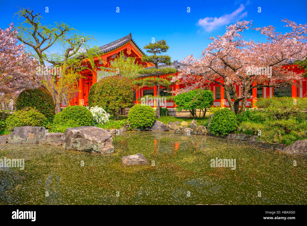 Frühling am Sanjusangendo-Schrein in Kyoto, Japan. Stockfoto