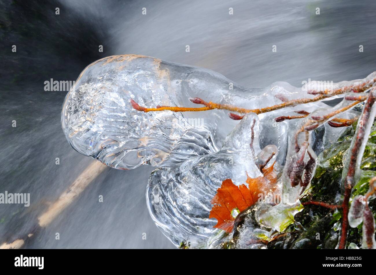 auf das kalte Wasser mit Eis enthalten Stockfoto