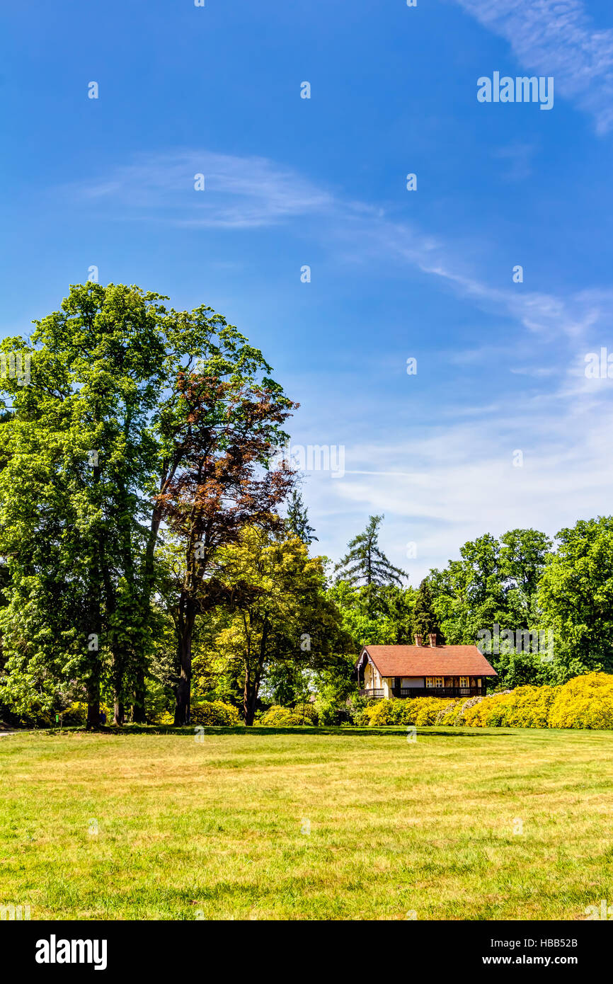 Azalea and rhododendron park kromlau Fotos und Bildmaterial in hoher