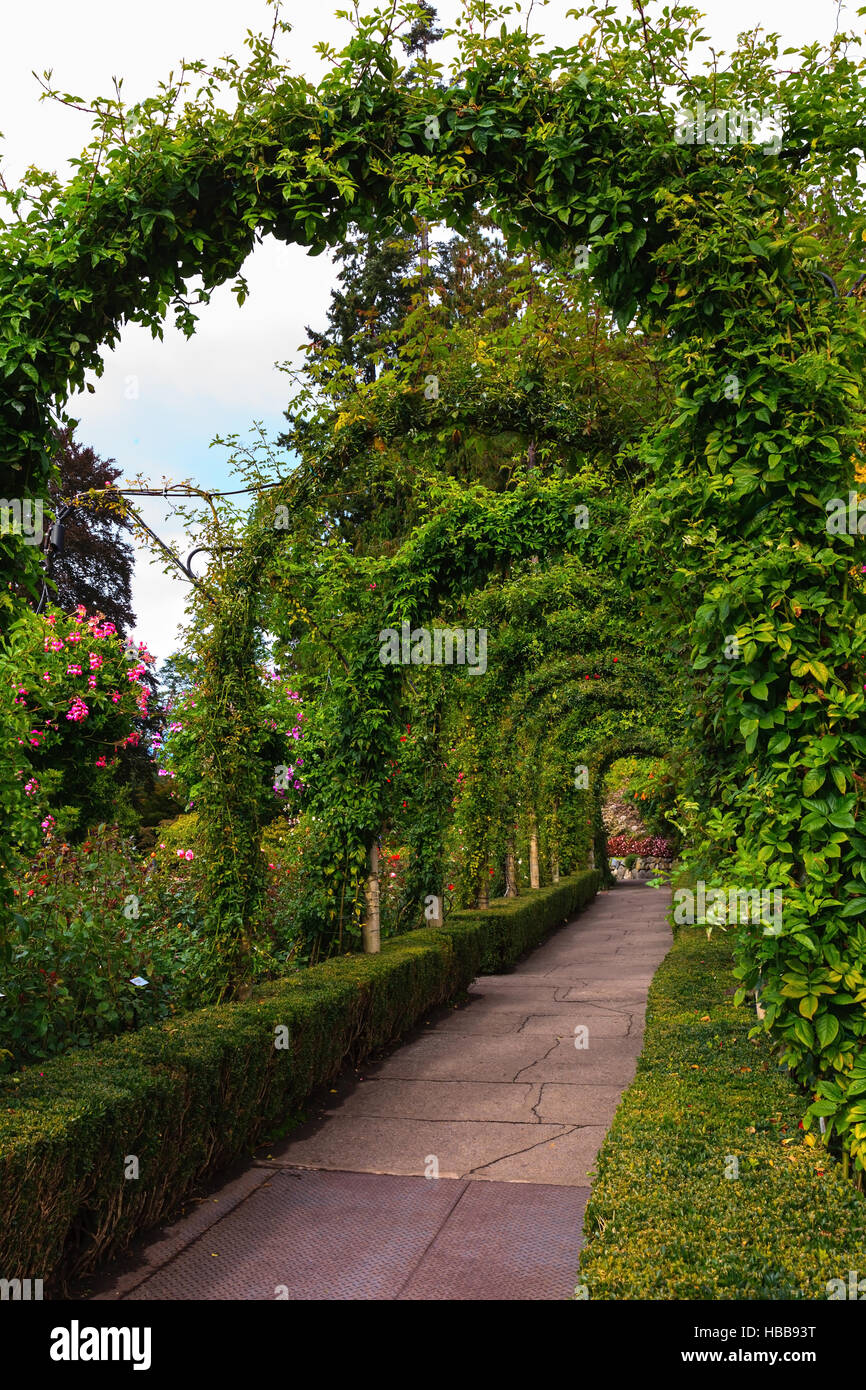 Galerie der Blumen gewunden Bögen Stockfoto