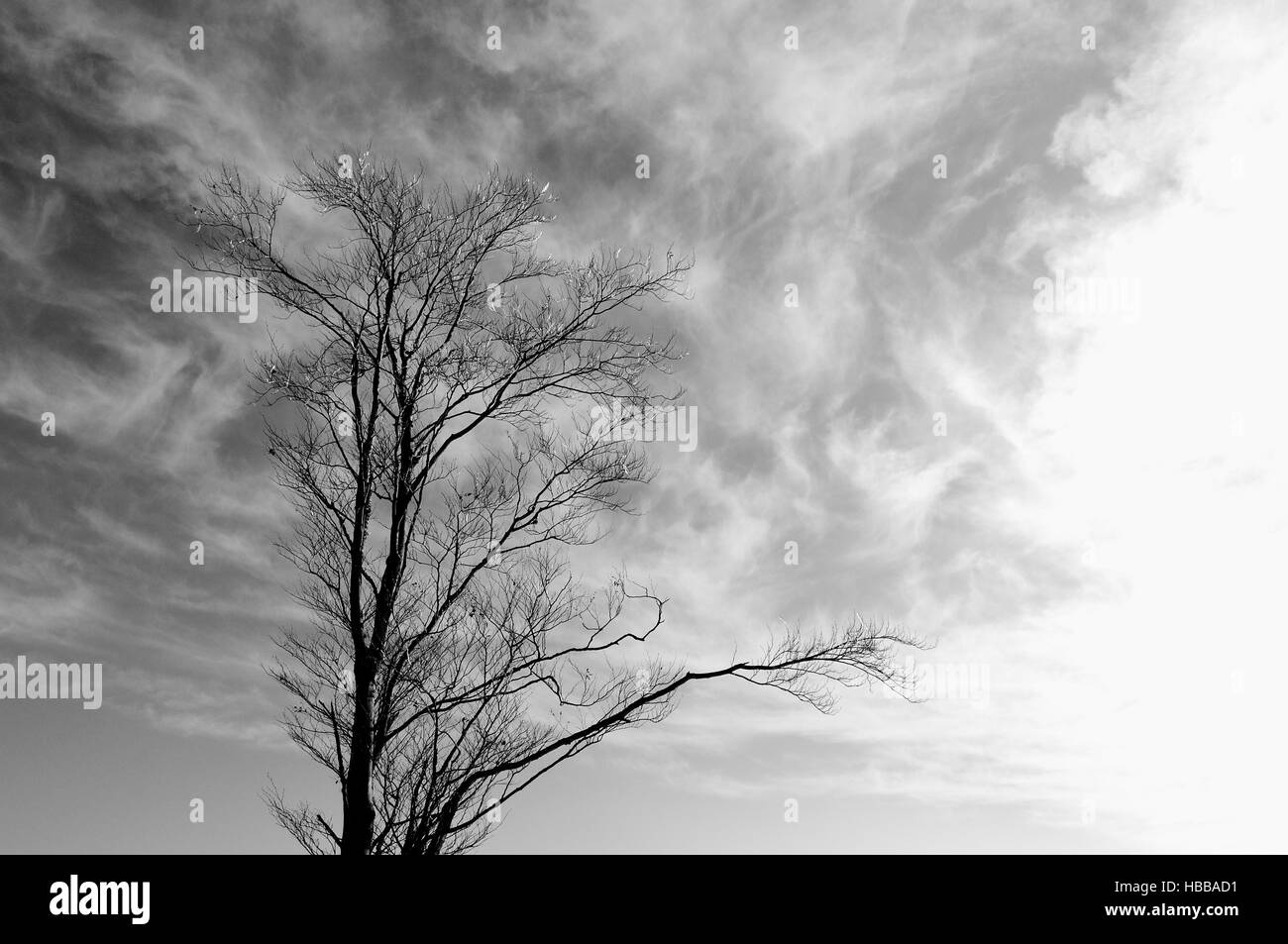 die Wolken gegen schwarz / weiß Stockfoto
